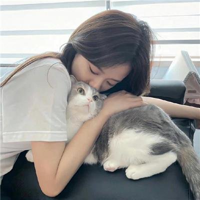 诺娃队长 封面